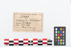 Etikett zu Bronzearmreif (NHMW-PRAE-025597)